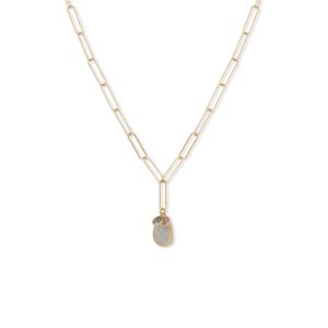 20 14 Karat Gold Plated Charm Drop Necklace