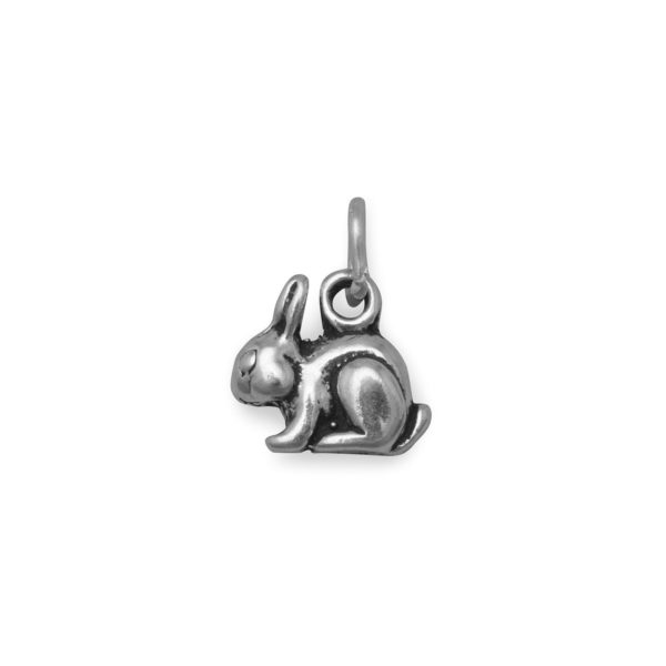 Extra Hoppy! Bunny Charm