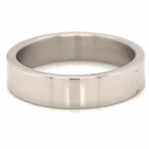 Polished Stainless Steel Blank Flat Ring