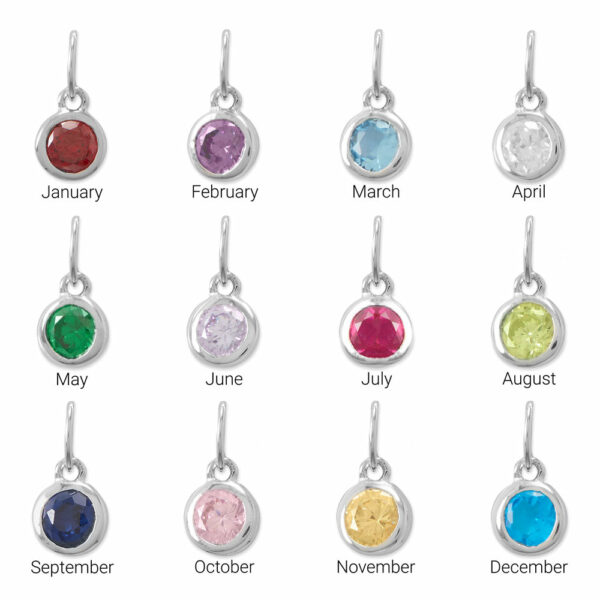 Rhodium Plated Round CZ Birthstones Charm (January-December) - Silver - alternate view 2