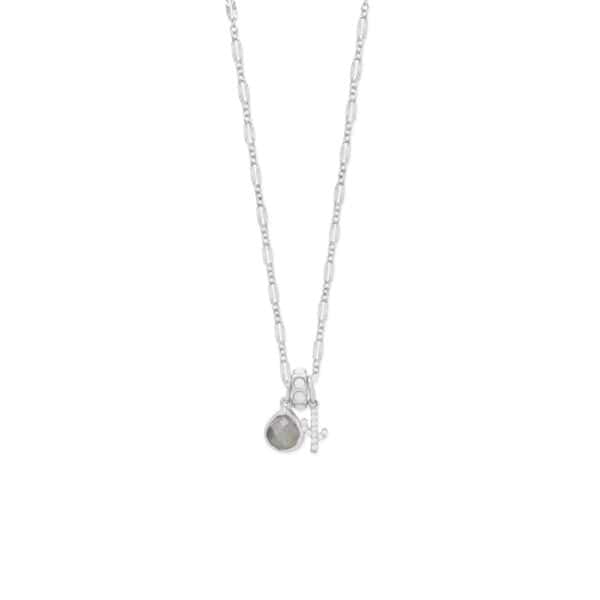 Dainty Rhodium Plated CZ Saguaro Cactus Charm - alternate view 2