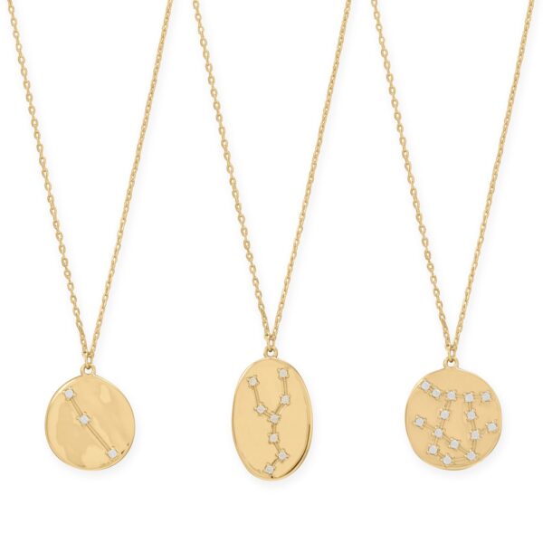 Cosmic Constellations! 16 + 2 Zodiac Coin Necklace (All Signs)