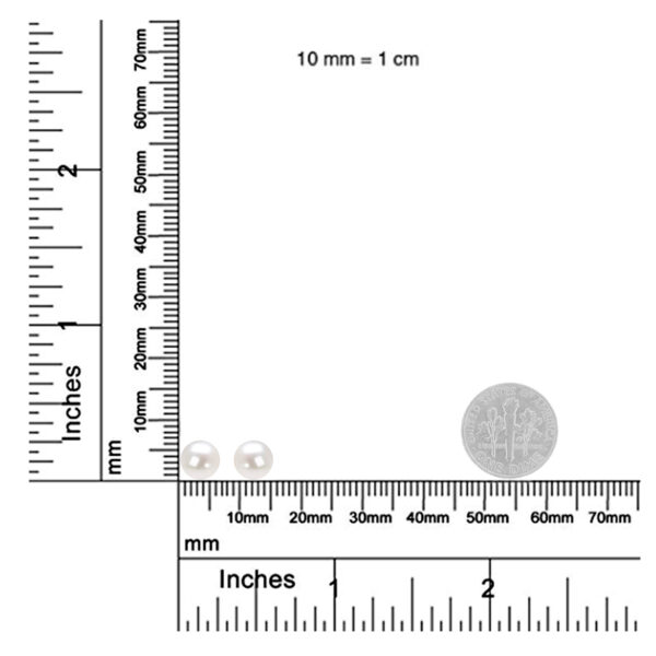 016447ES35 scale