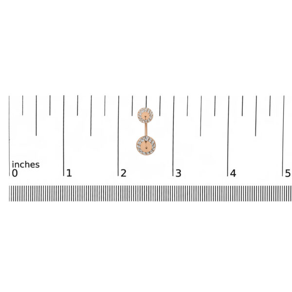 017426EANT scale