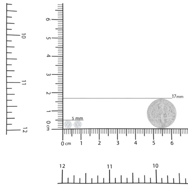 017495EWDM scale