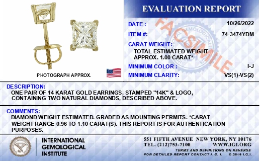 020620EIGI certificate