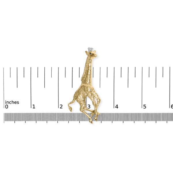 022109ID19 scale