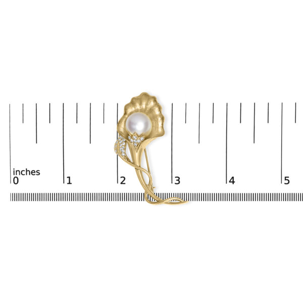 022111ID19 scale