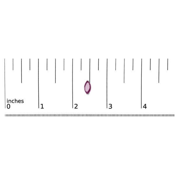 022206EWRU scale