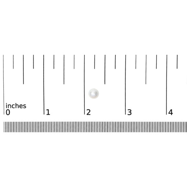 023747EE01 scale