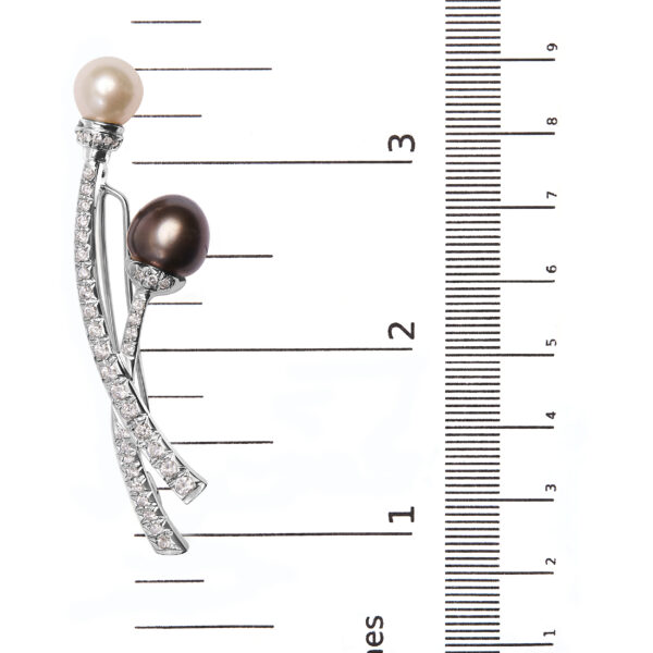 11168 scale