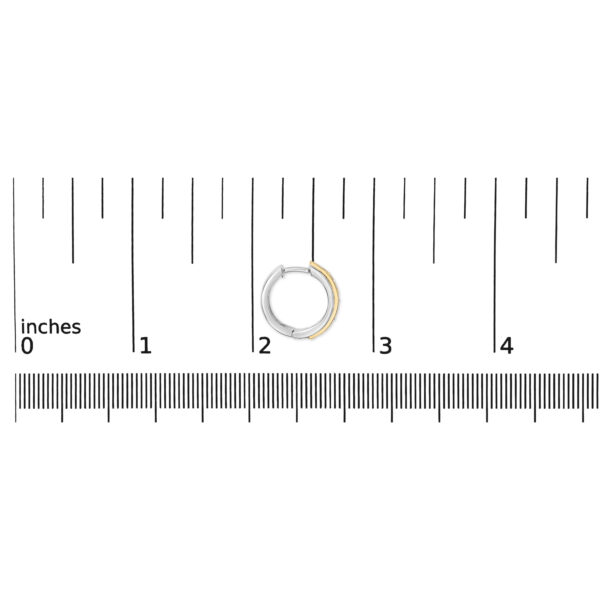228567T SIL 10Y JC scale