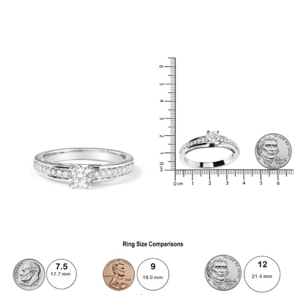 24673FVWG LE scale