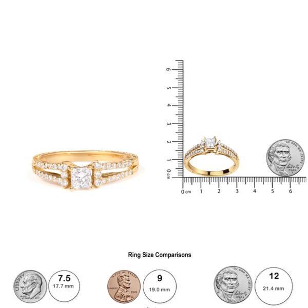 24743FCYG LE scale