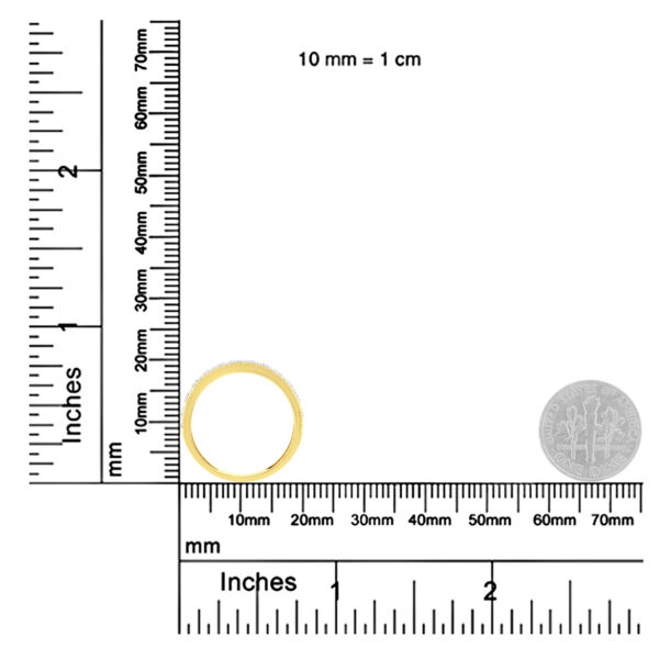 30 6313Y scale