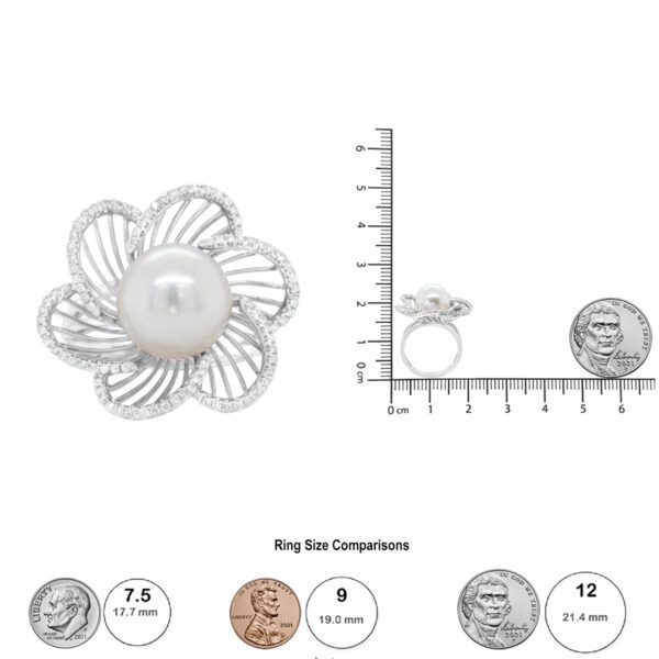 55865FHWG scale
