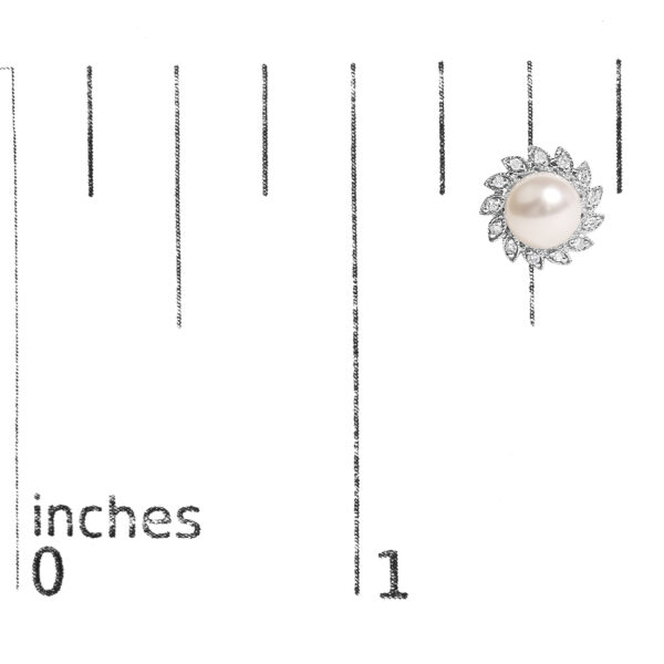 56188TSERWPWG scale