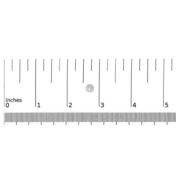 565A8TSERWPWG scale