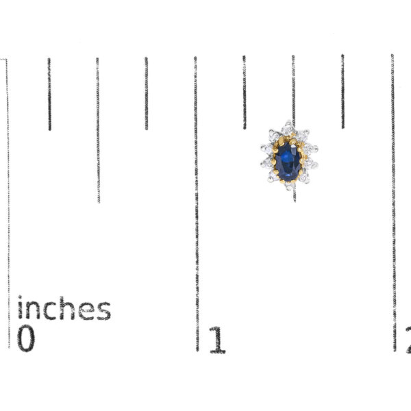 57026FXERSP scale
