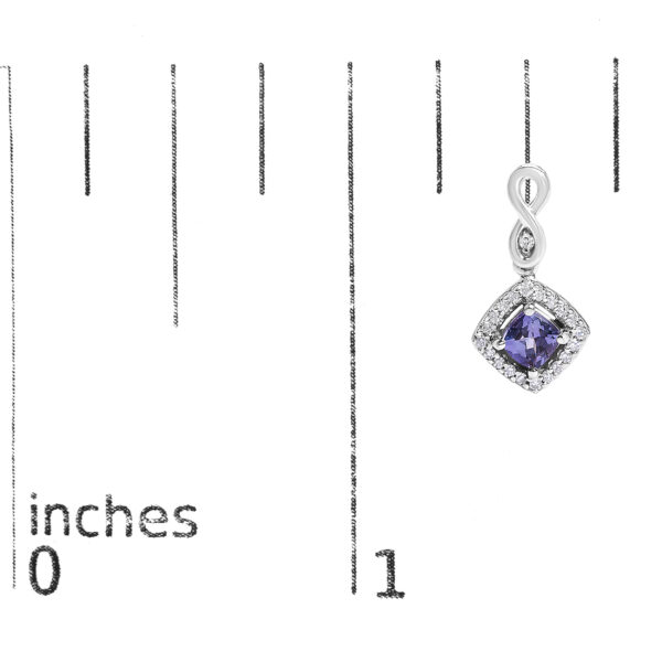 57088TSERTZWG scale