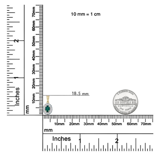 58197FNPDEM scale