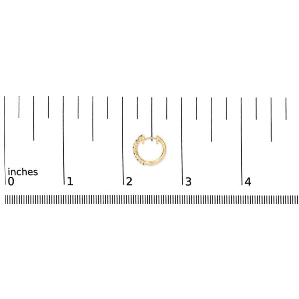 58658TSERSPYG scale