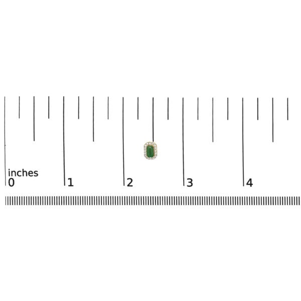 58698FSEREMYG OC scale