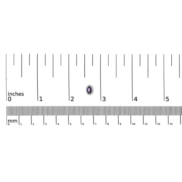 58698TSERAMWG OV scale