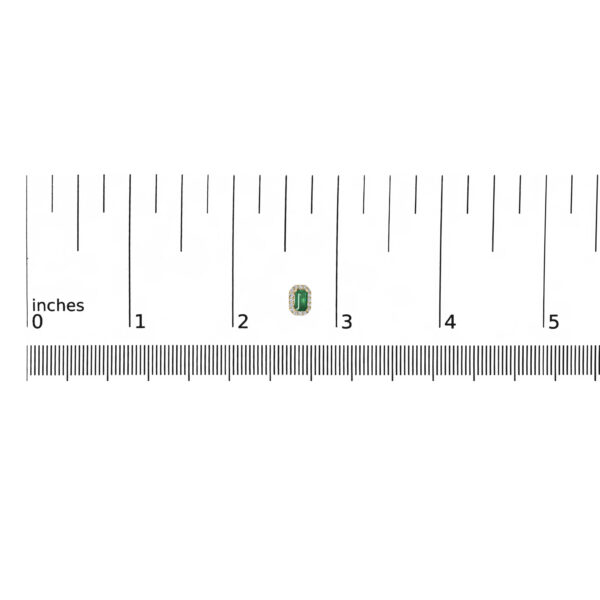 58698TSEREMYG OC scale