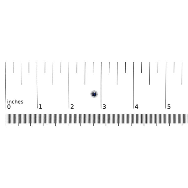 58698TSERSPWG RD scale