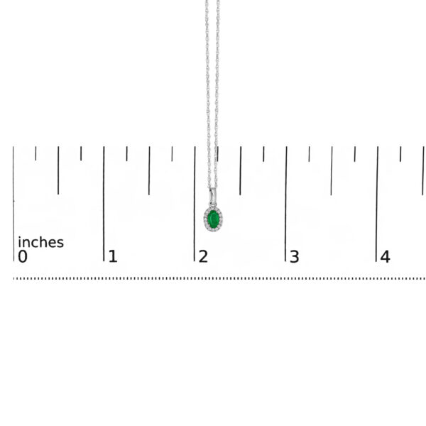 58699TSPDEMWG OV scale