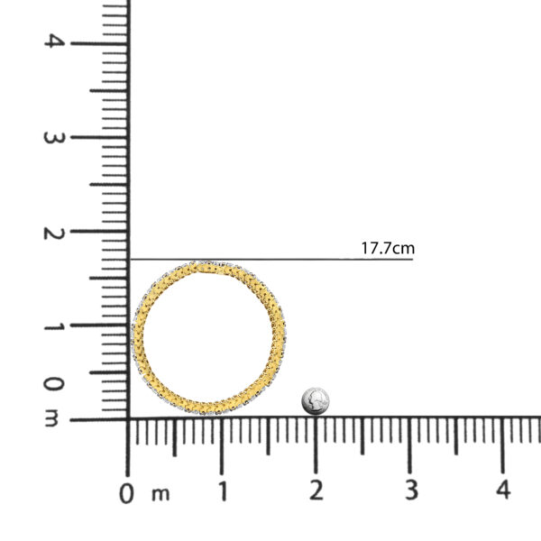 60 2554YCD scale