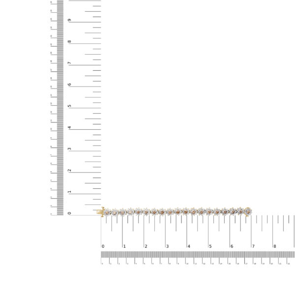 60 4247YCD scale