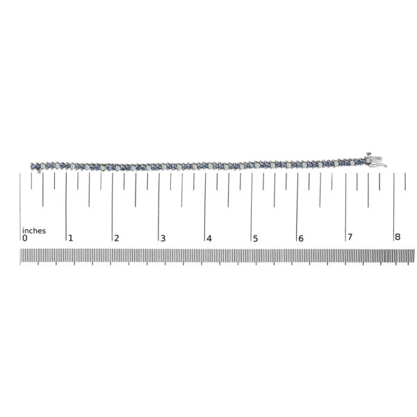 60 4387WBD scale