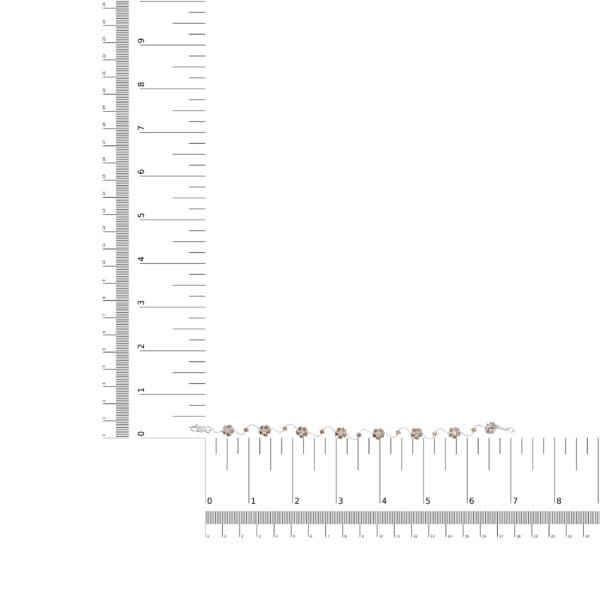60 4502WCD scale
