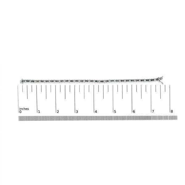 60 4562WBD scale