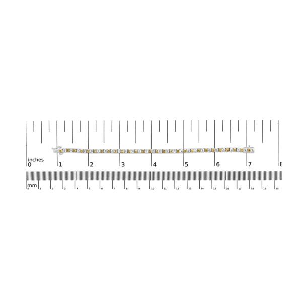 60 7830WYL scale