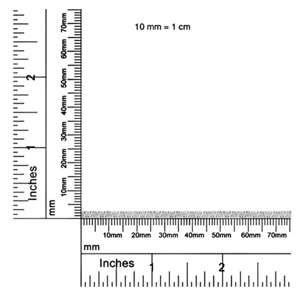 60 8096W scale