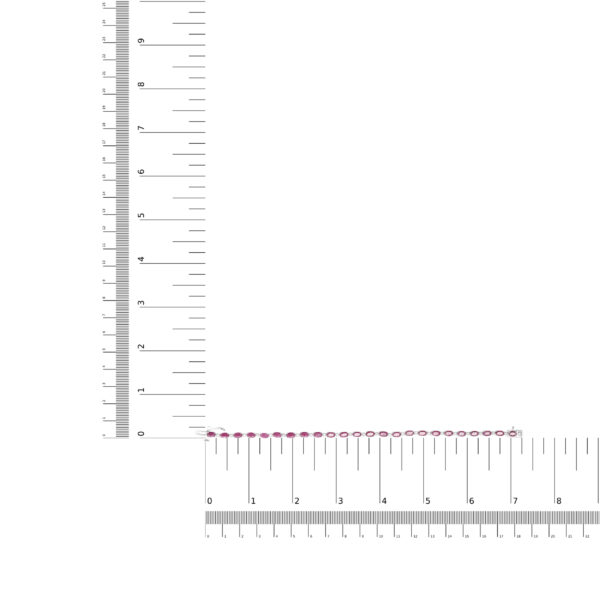 60 8219WRU scale