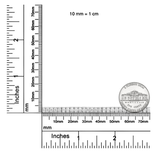 60 8254W scale