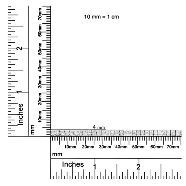60 8256W scale