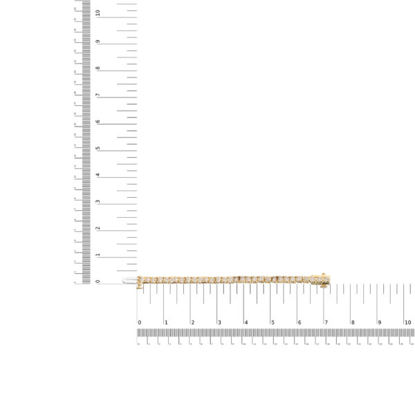 60 8382Y scale