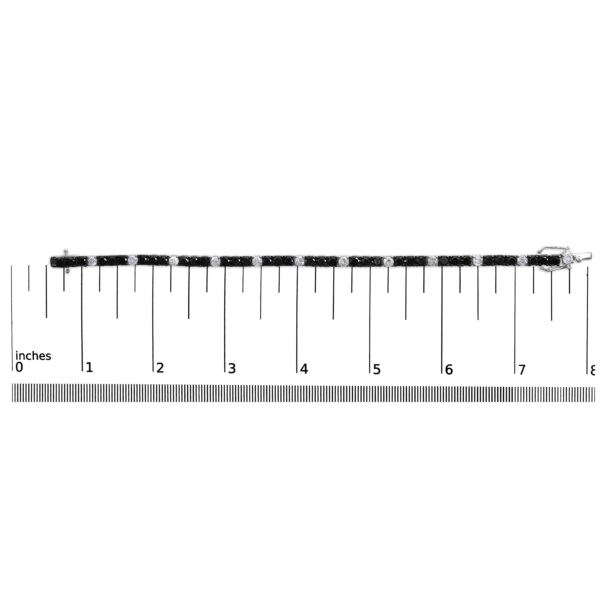 60 8513WBK scale
