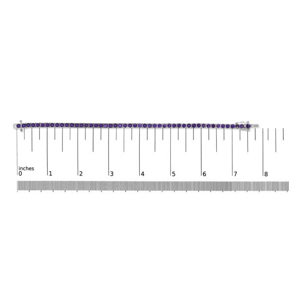60 8527WAM scale