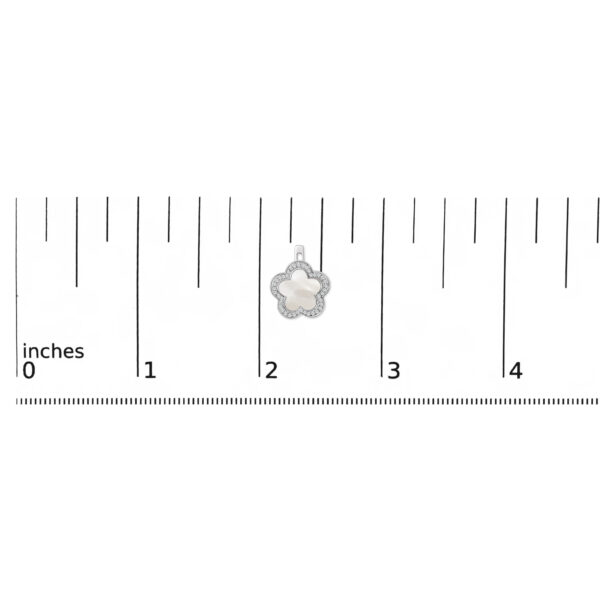 61087FSERSHWG scale