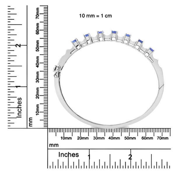 69 2019WTZ scale
