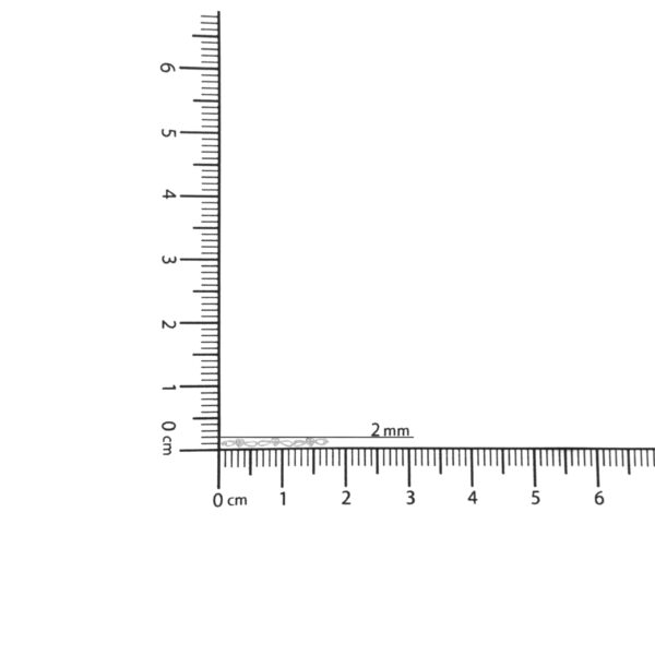 69 2185W scale