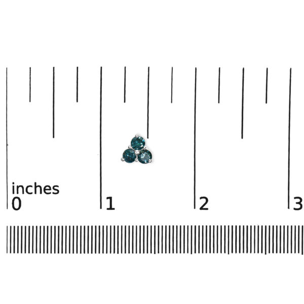 70 2934WBD scale