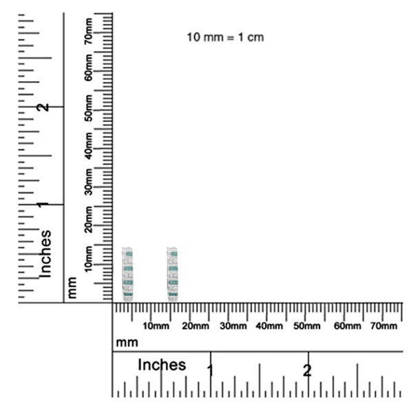 70 2985WBD scale