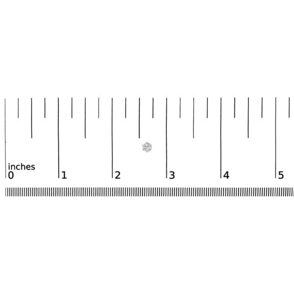 70 4239WLD scale